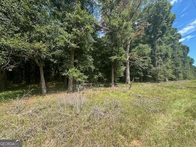 1932 Marshallville Road Perry, GA 31069 - Photo 7 of 14 a backyard of a house with lots of green space
