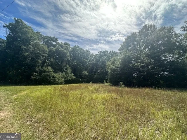 a view of a yard with a trees