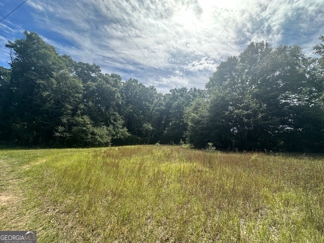 1932 Marshallville Road Perry, GA 31069 - Photo 9 of 14 a view of a yard with a trees