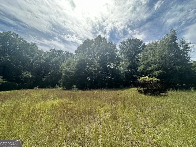 a view of backyard with trampoline