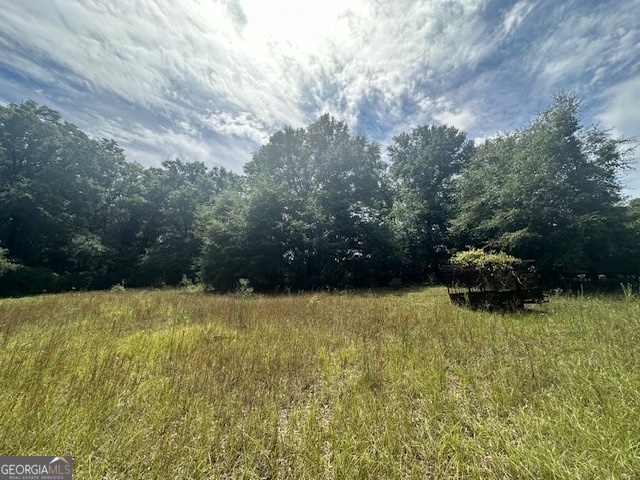 1932 Marshallville Road Perry, GA 31069 - Photo 10 of 14 a view of backyard with trampoline