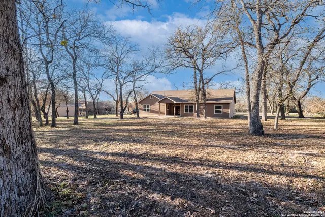 a view of a yard with a large tree