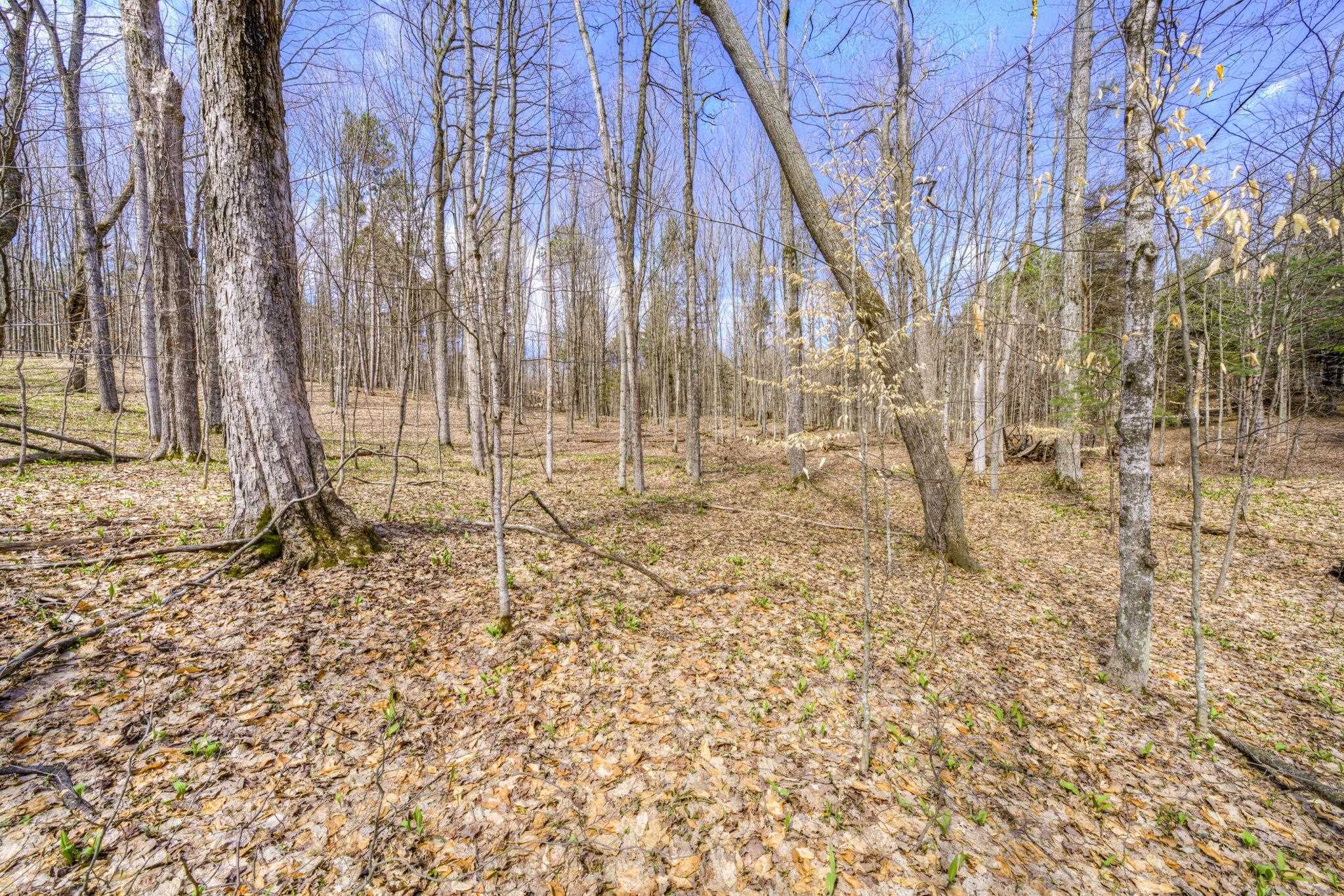 Parcel B East Bodus Road Cedar, MI 49621 - Photo 7 of 10