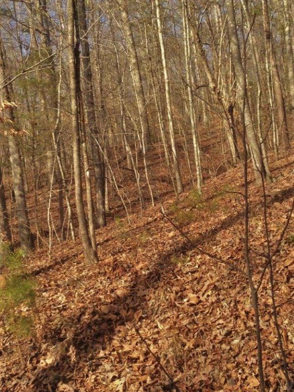 175 Harris Branch Road Madisonville, TN 37354 - Photo 22 of 24 IMG_0030