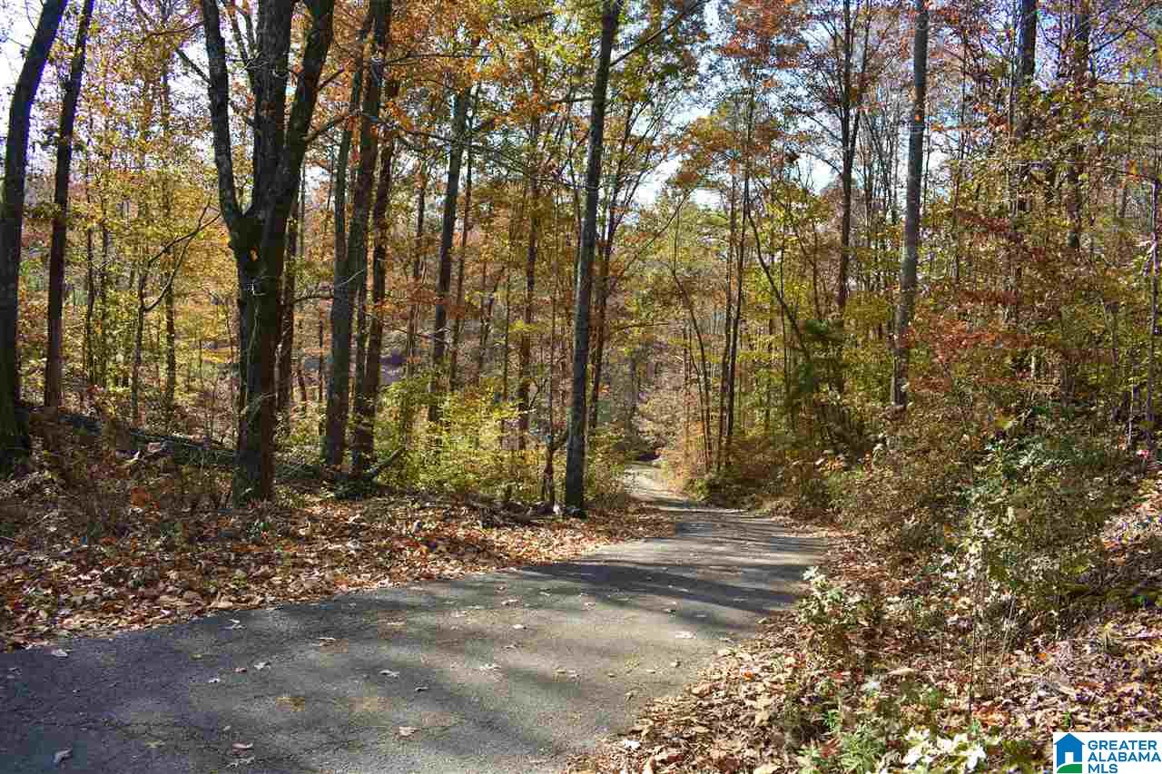 8840 Zuber Road Springville, AL 35146 - Photo 2 of 32 Gallery Image 2
