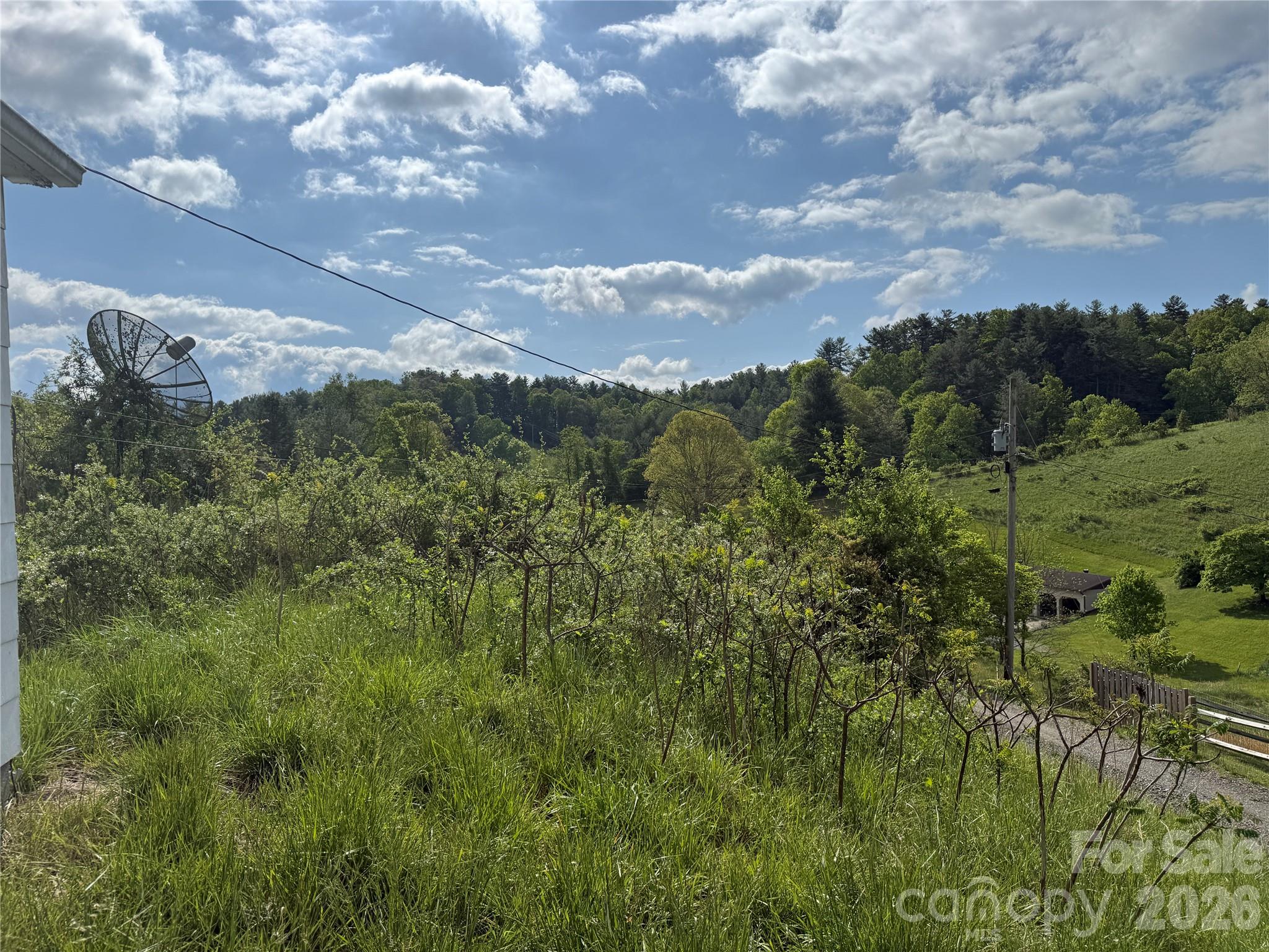176 Laurel Branch Cemetery Road Marshall, NC 28753 - Photo 23 of 27