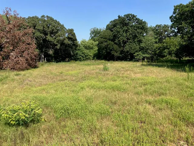 a view of a yard with a tree