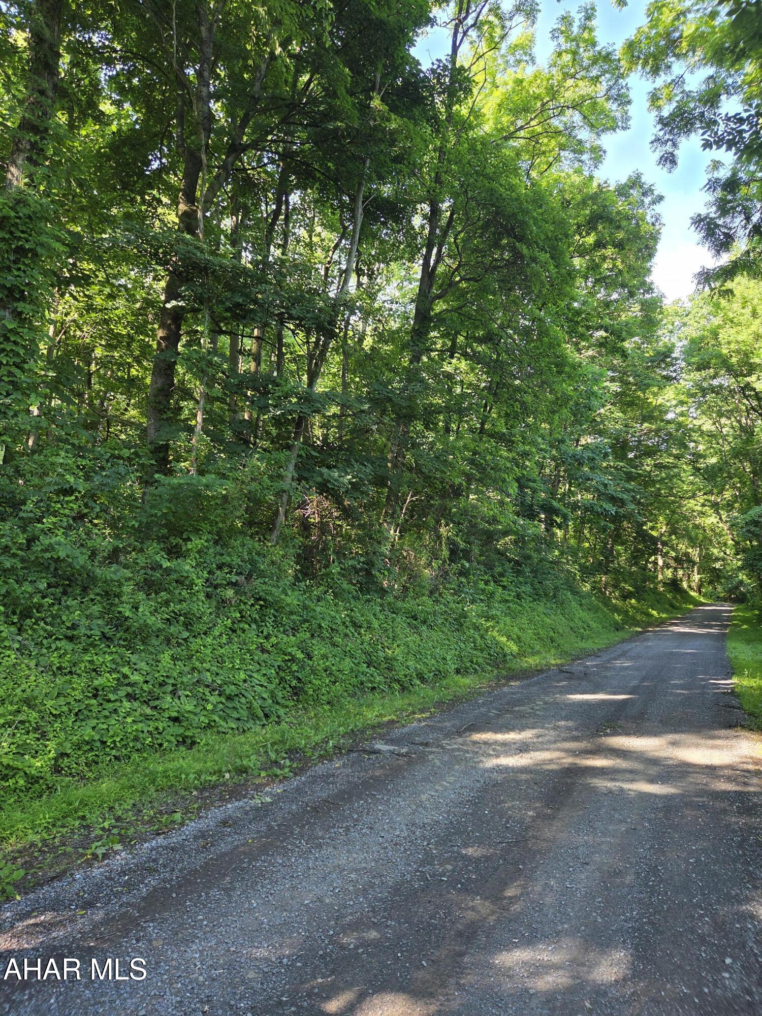 0 Sugar Ridge Road McVeytown, PA 17051 - Photo 6 of 19