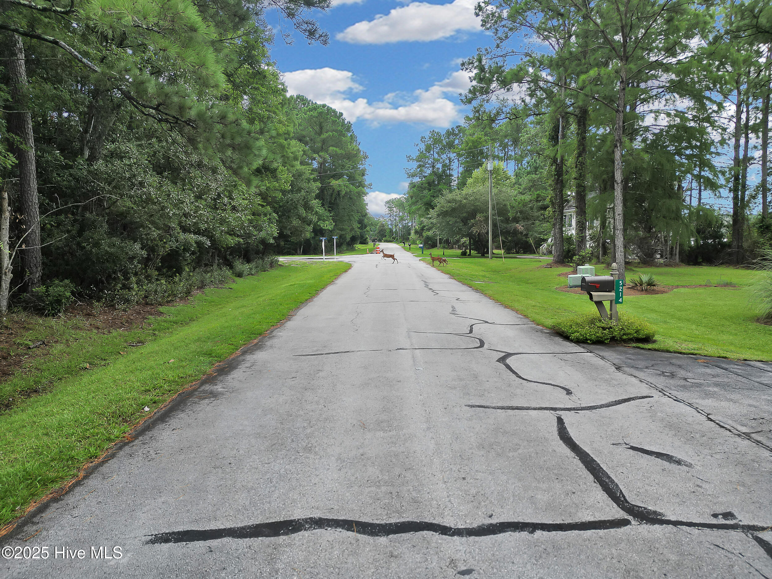 5302 Trade Winds Road New Bern, NC 28560 - Photo 14 of 25 14_dji_0175