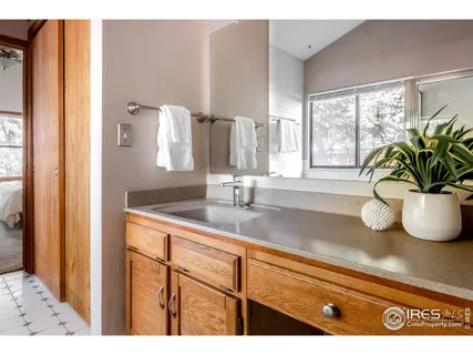 a bathroom with a sink a potted plant and a large mirror