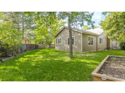 a black and white photo of a backyard