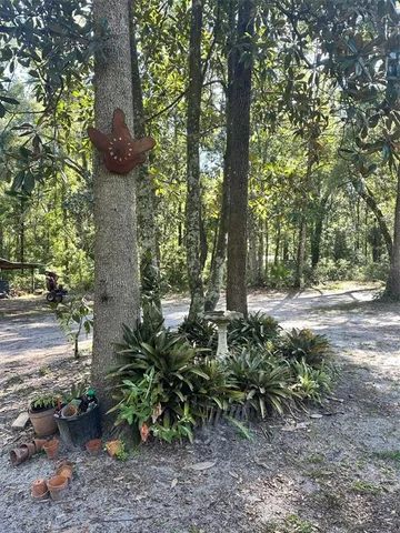 a view of outdoor space with trees