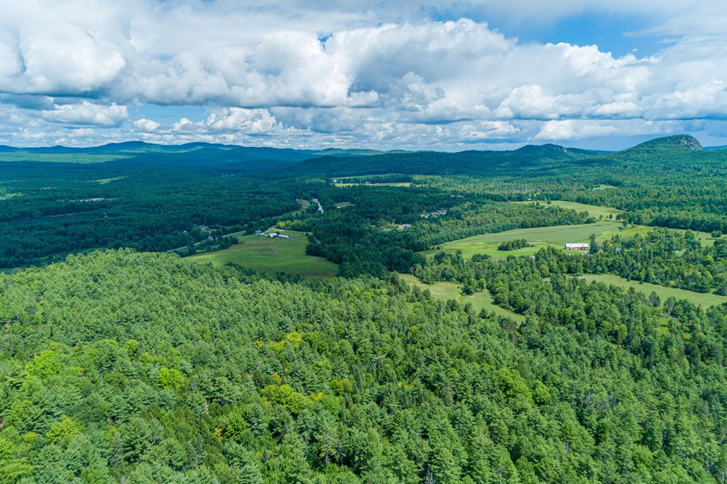 0 Stickney Bridge Road Jay, NY 12941 - Photo 11 of 38 Gallery Image 11