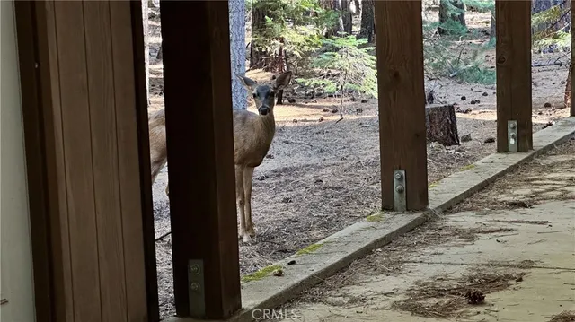 $89,900 | 10467 Ritts Mill Road, Shingletown, CA 96088