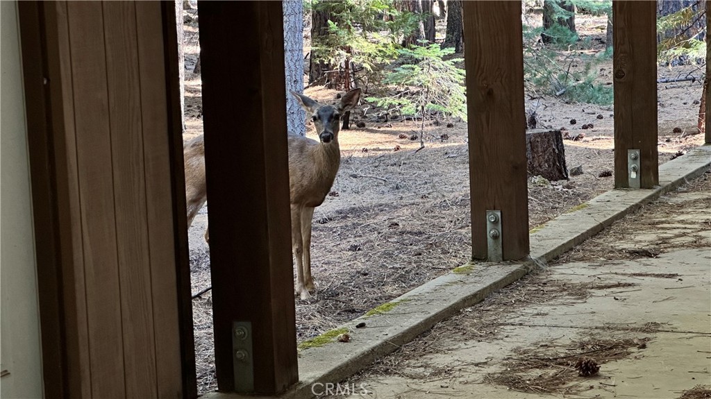 10467 Ritts Mill Road Shingletown, CA 96088 - Photo 34 of 34