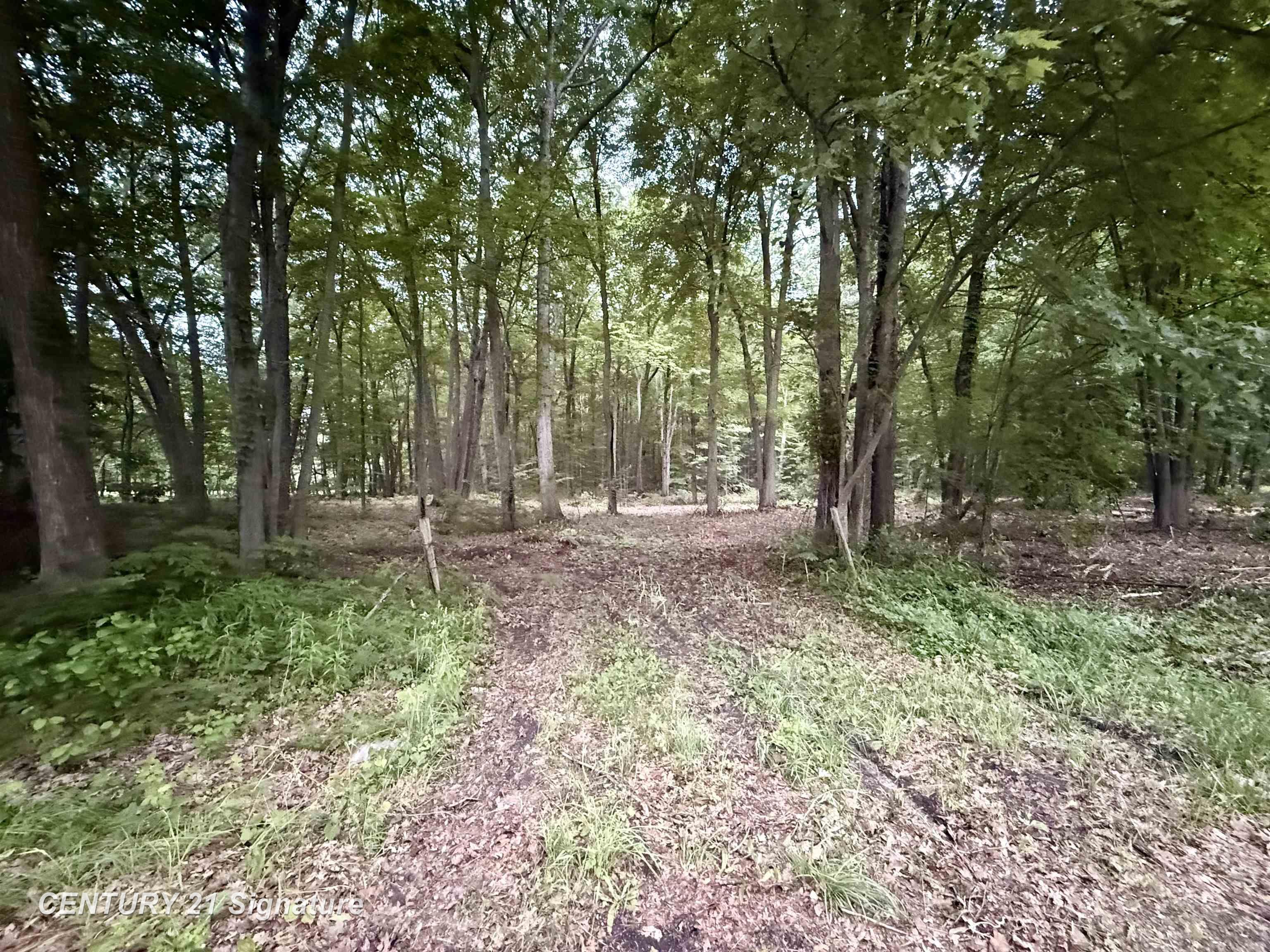 0 Seymour Road Burt, MI 48417 - Photo 1 of 3