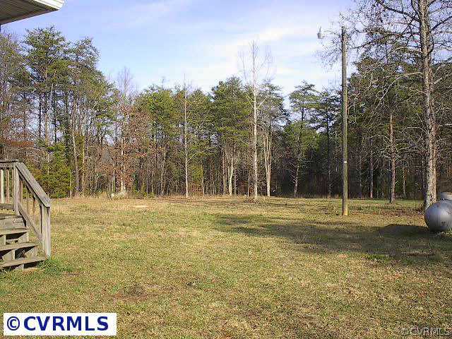 Other - View of back yard