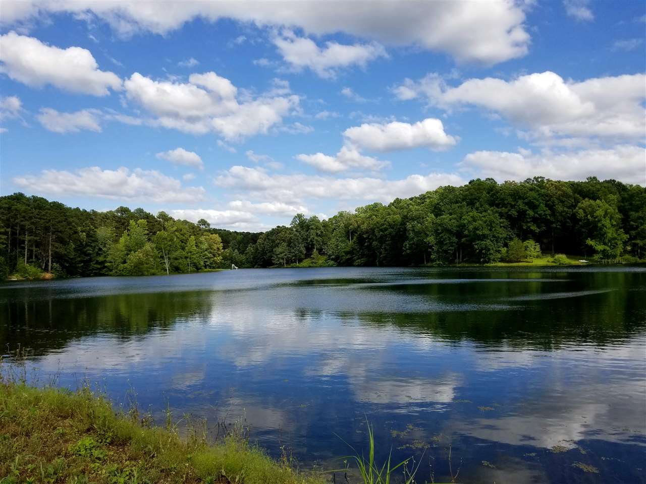 Timberline Lp/lolly Cv Loop Savannah, TN 38372 - Photo 1 of 8