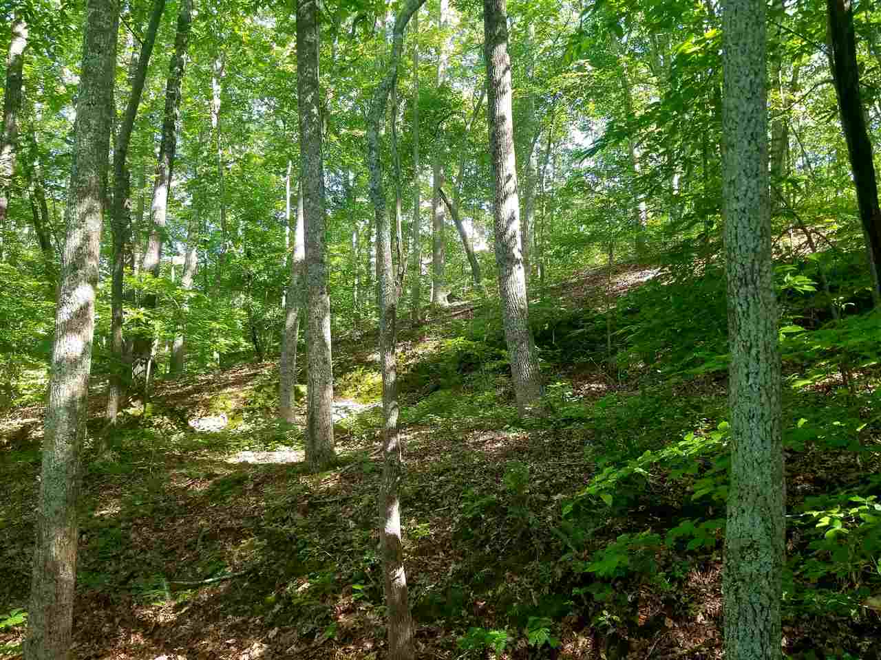 Timberline Lp/lolly Cv Loop Savannah, TN 38372 - Photo 4 of 8