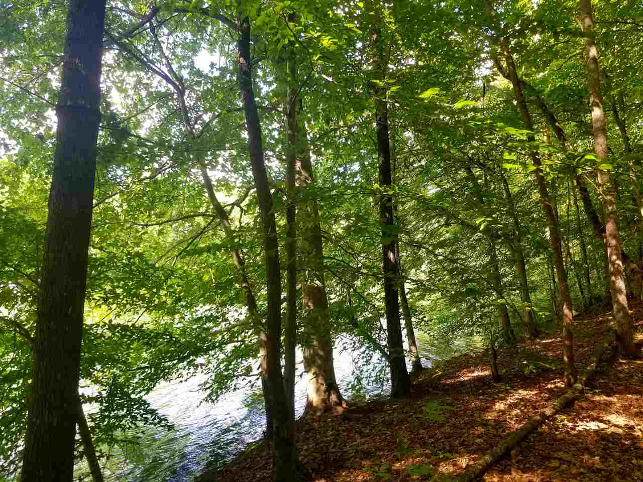 Timberline Lp/lolly Cv Loop Savannah, TN 38372 - Photo 5 of 8