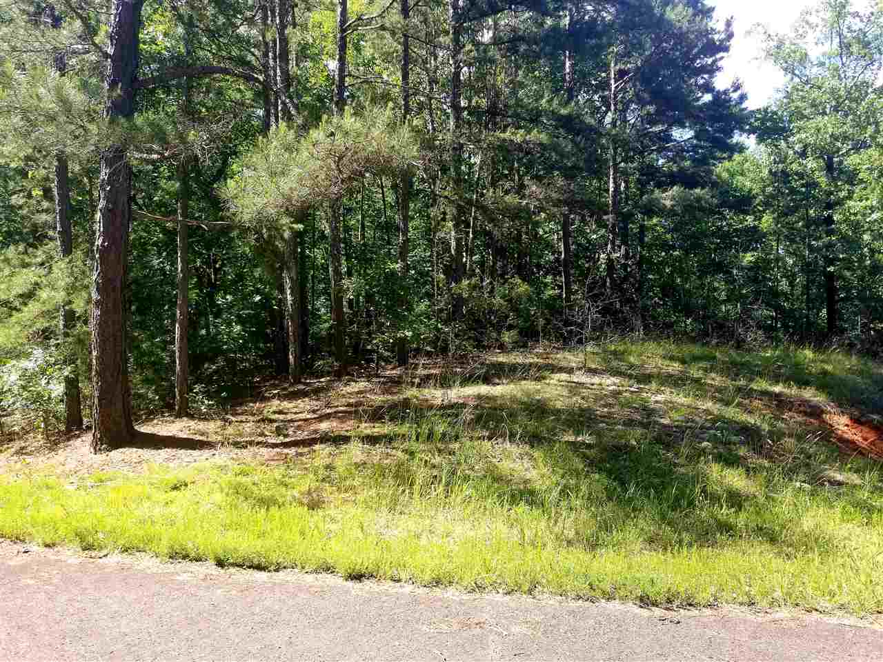 Timberline Lp/lolly Cv Loop Savannah, TN 38372 - Photo 7 of 8