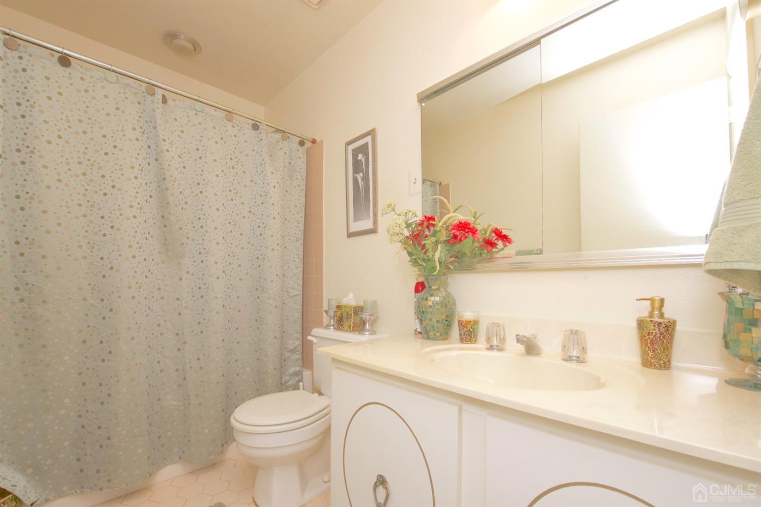 A Pompton Road Monroe Township, NJ 08831 - Photo 18 of 30 a bathroom with a sink a toilet and a mirror