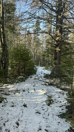 $30,000 | M9-l16 Airport Road, Addison, ME 04606