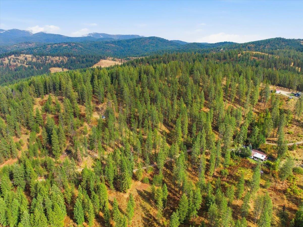Tbd Tbd Unassigned Address Mead, WA 99021 - Photo 3 of 17 Gallery Image 3