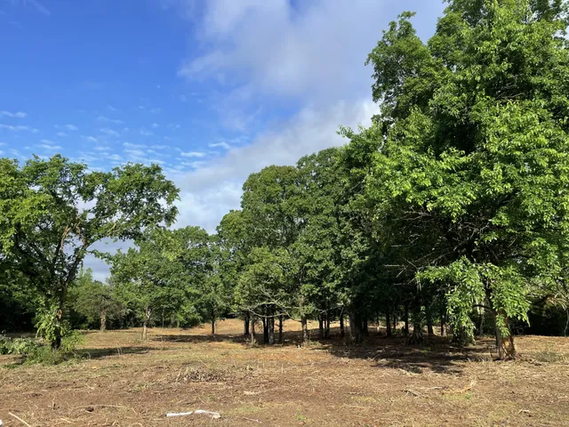 $174,000 | 2998 Verona Caney Road, Lewisburg, TN 37091