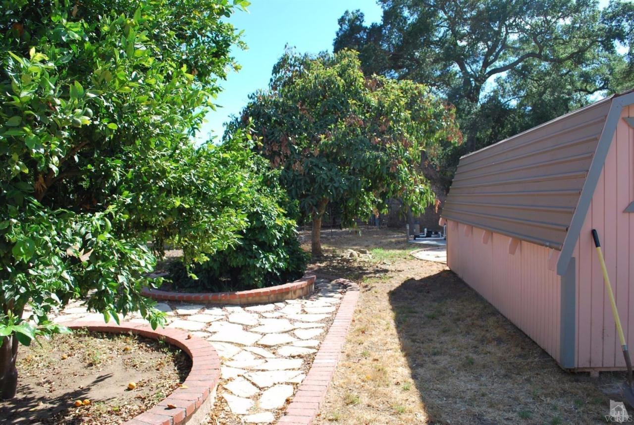 486 South Rice Road Ojai, CA 93023 - Photo 34 of 48 a view of a backyard with large trees