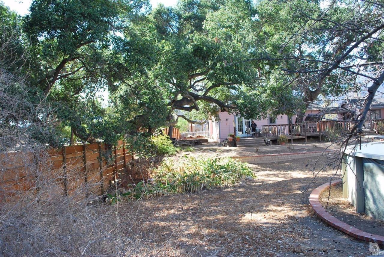 486 South Rice Road Ojai, CA 93023 - Photo 36 of 48 a view of yard with tree in the background
