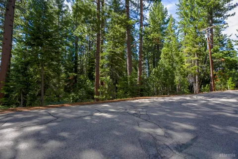 a view of outdoor space with trees