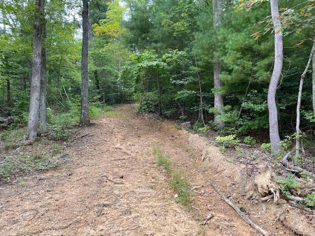 0 Hiram Branch Road Campton, KY 41301 - Photo 7 of 29 Photo 7