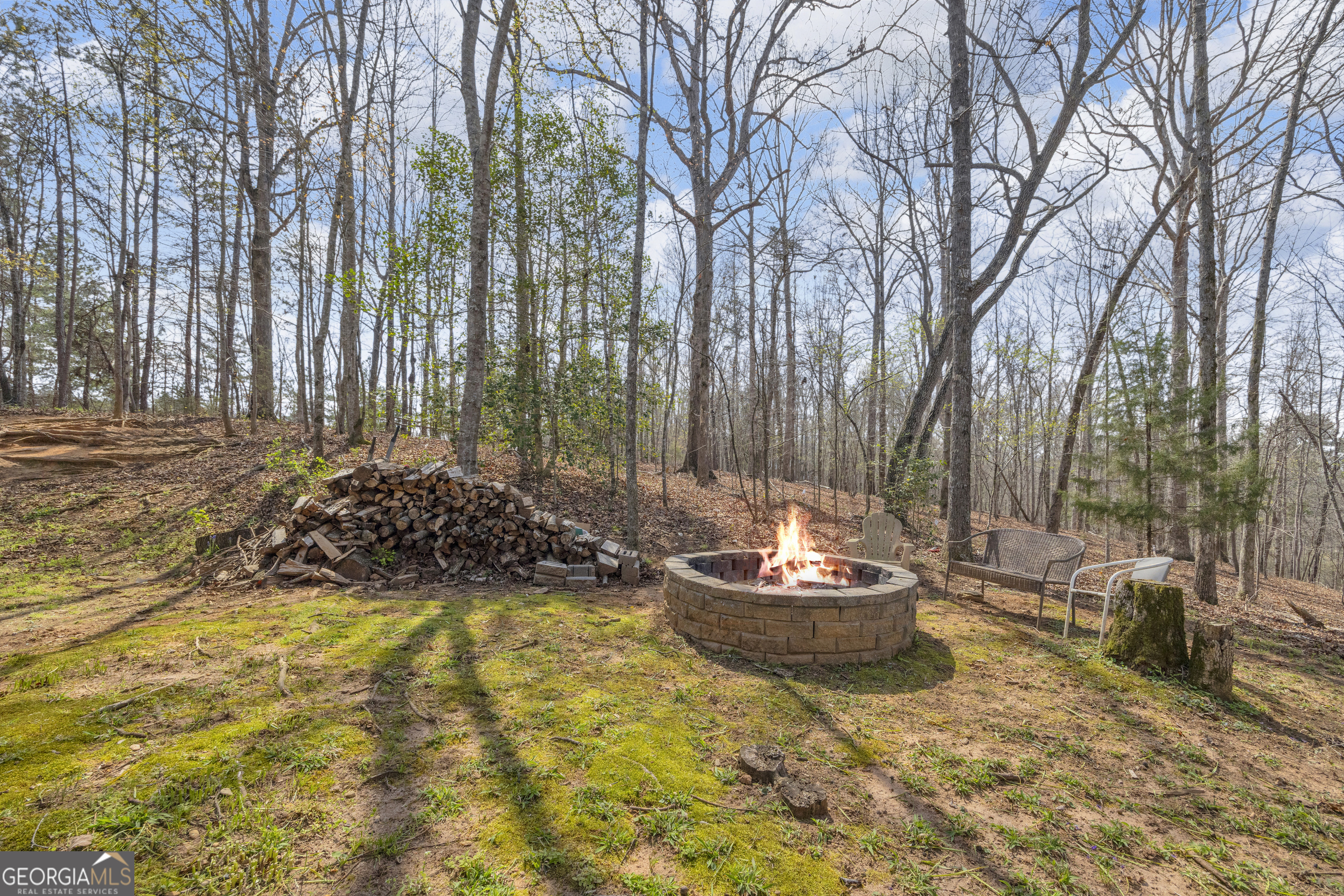 234 Old River Road Cornelia, GA 30531 - Photo 33 of 40 a view of a backyard with plants and tree