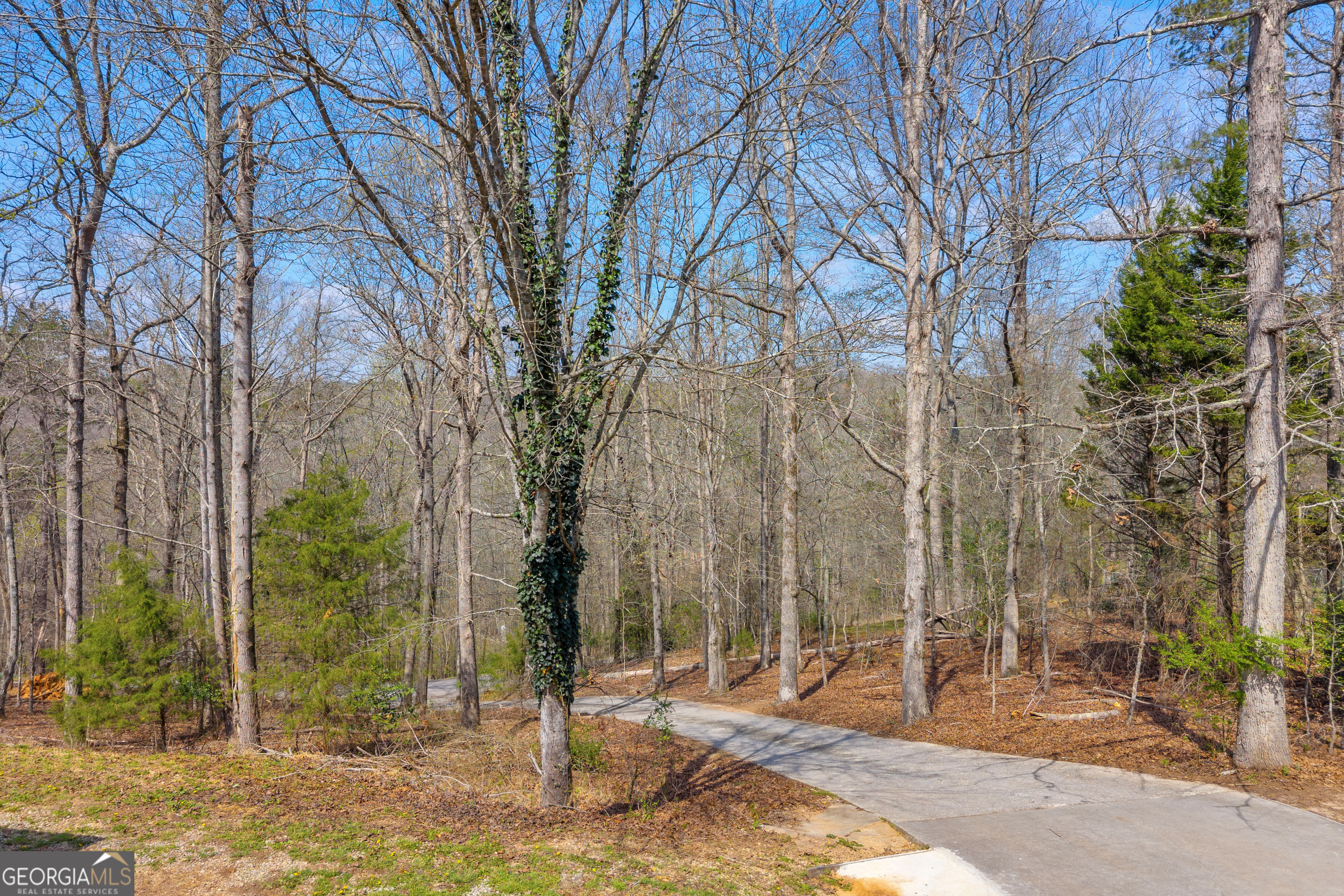 234 Old River Road Cornelia, GA 30531 - Photo 36 of 40 a backyard of a house with lots of green space