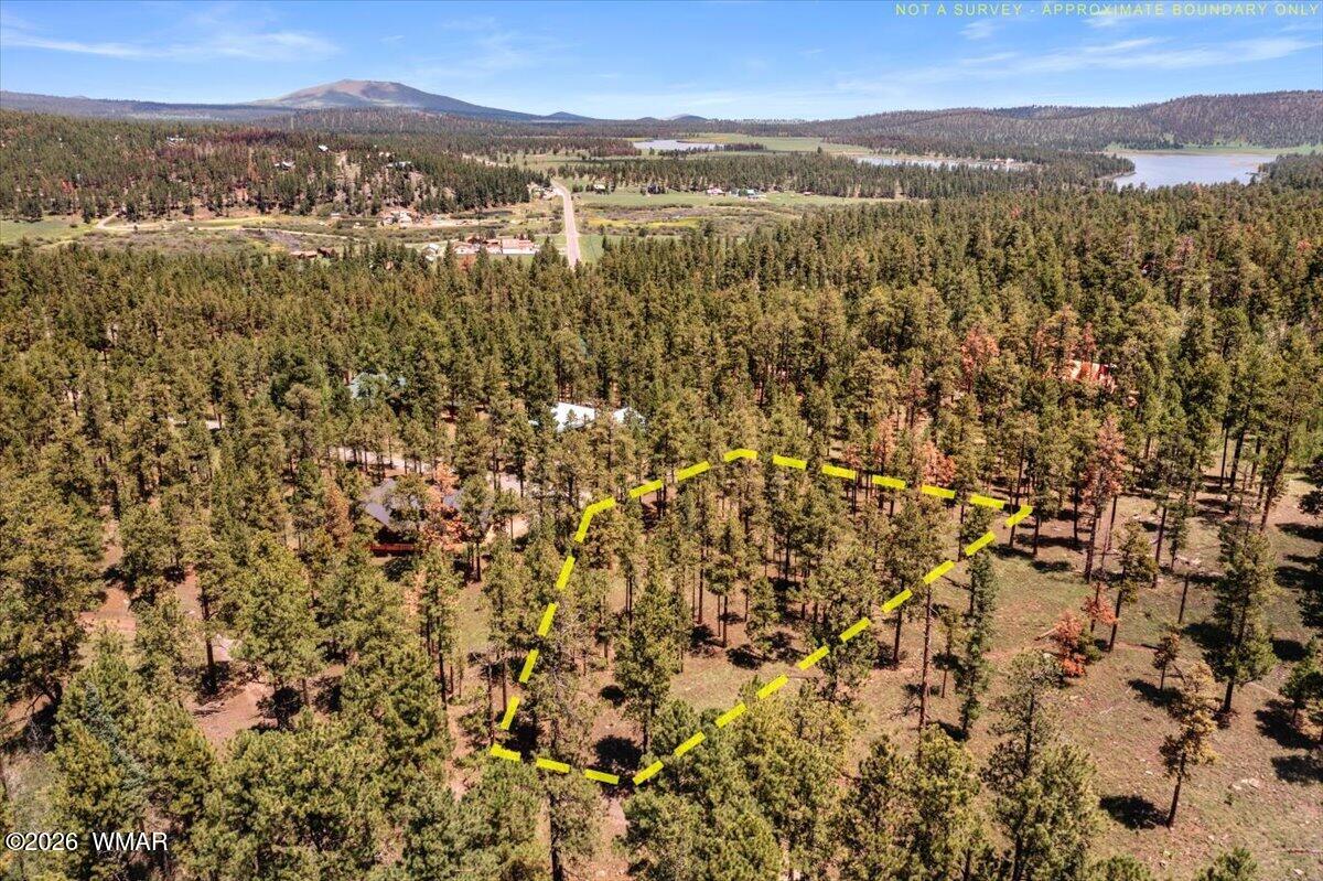 14 County Rd N1062 Greer, AZ 85927 - Photo 9 of 15 Gallery Image 9