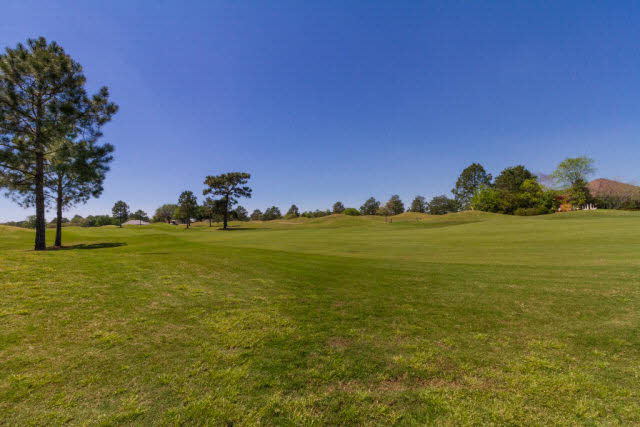 9075 Caddie Circle Foley, AL 36535 - Photo 23 of 23 Golf Course Views