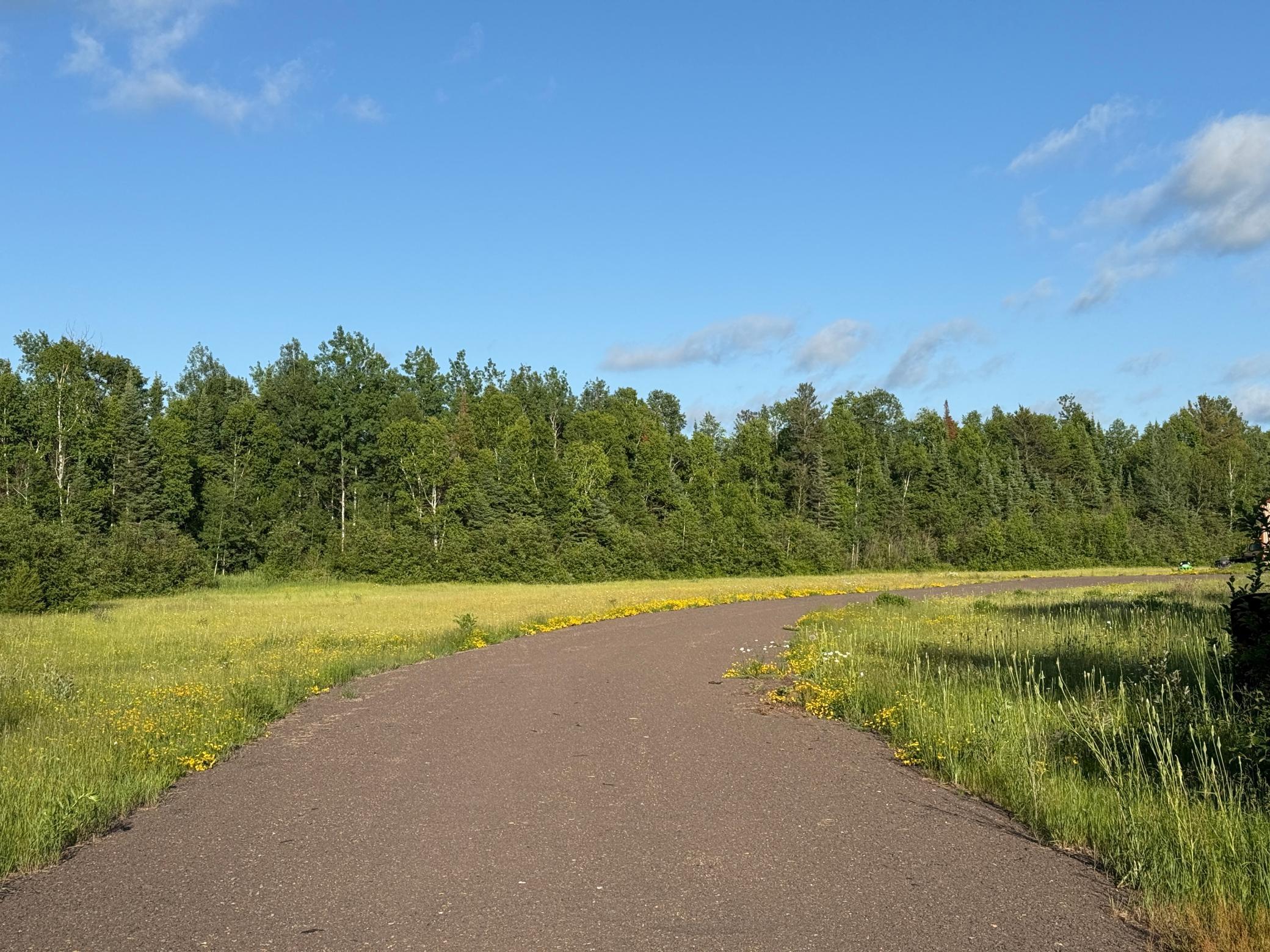 3602 Moose Ridge Road Isabella, MN 55607 - Photo 15 of 66