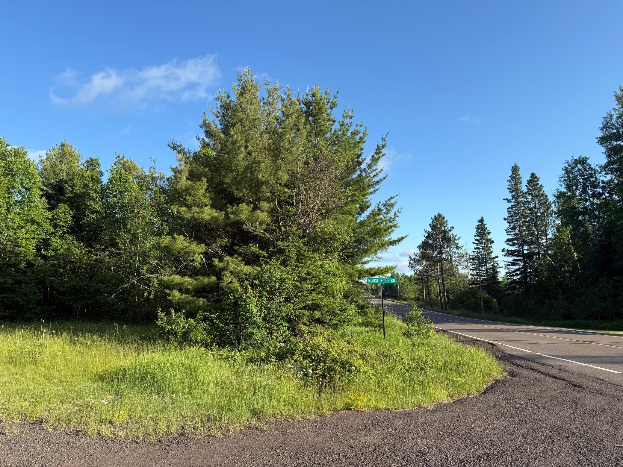 3602 Moose Ridge Road Isabella, MN 55607 - Photo 18 of 66