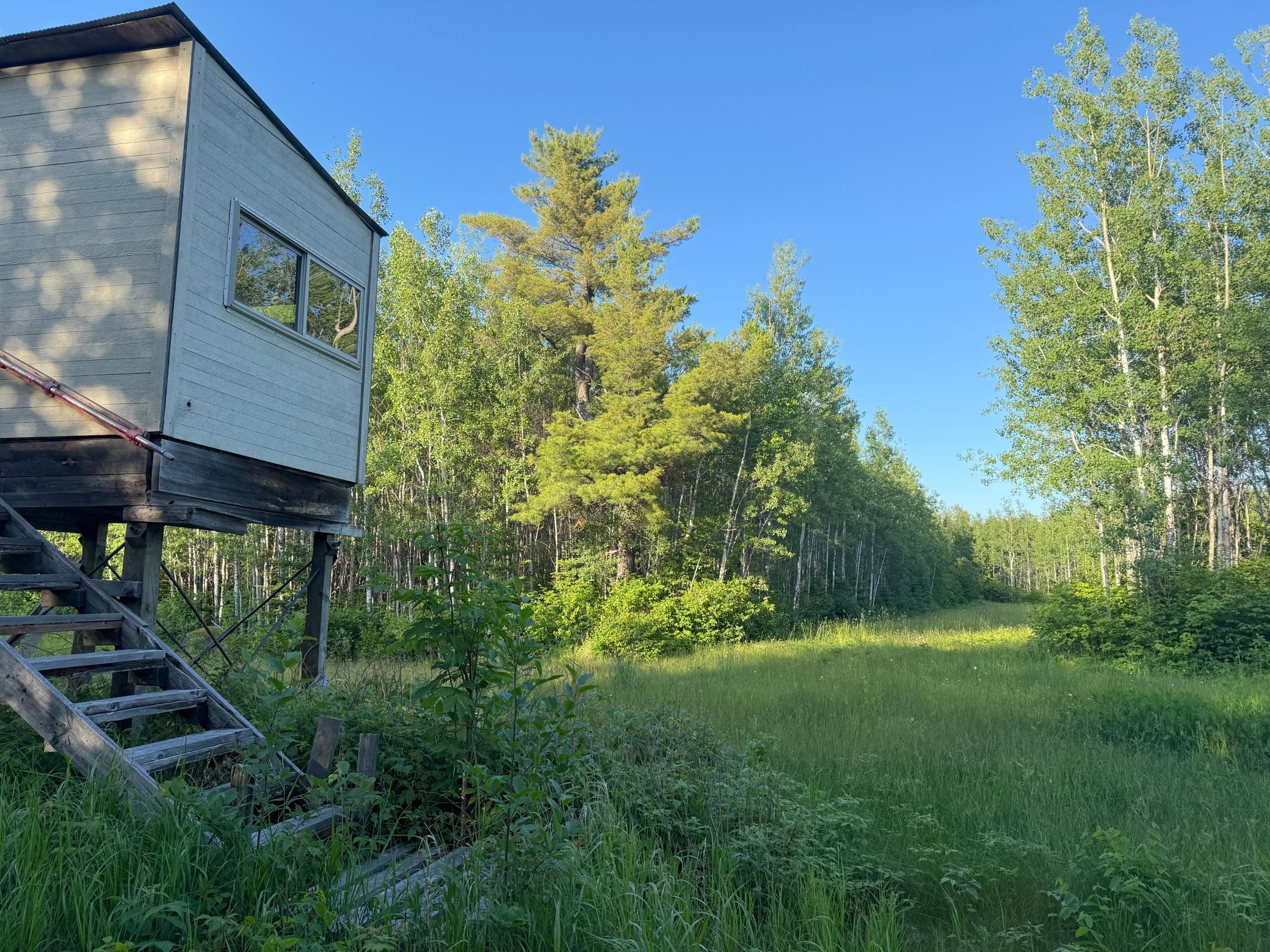 3602 Moose Ridge Road Isabella, MN 55607 - Photo 19 of 66