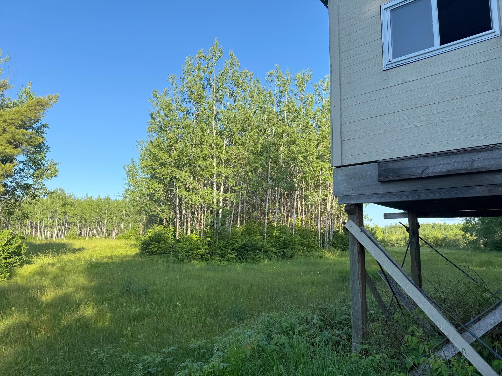 3602 Moose Ridge Road Isabella, MN 55607 - Photo 20 of 66