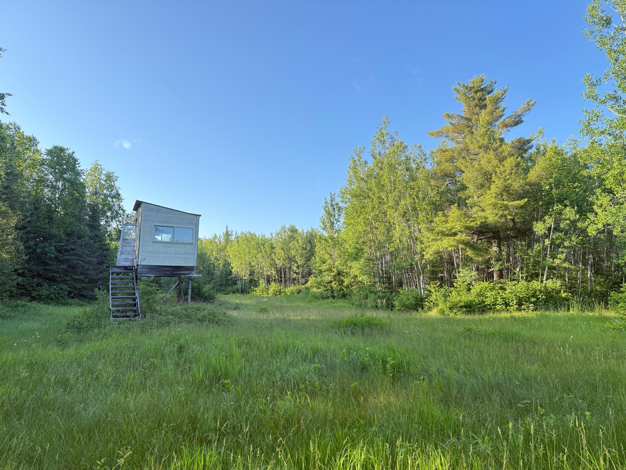 3602 Moose Ridge Road Isabella, MN 55607 - Photo 22 of 66