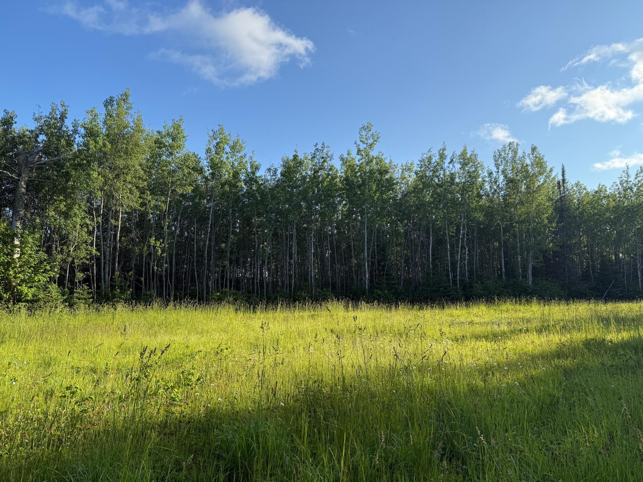 3602 Moose Ridge Road Isabella, MN 55607 - Photo 28 of 66