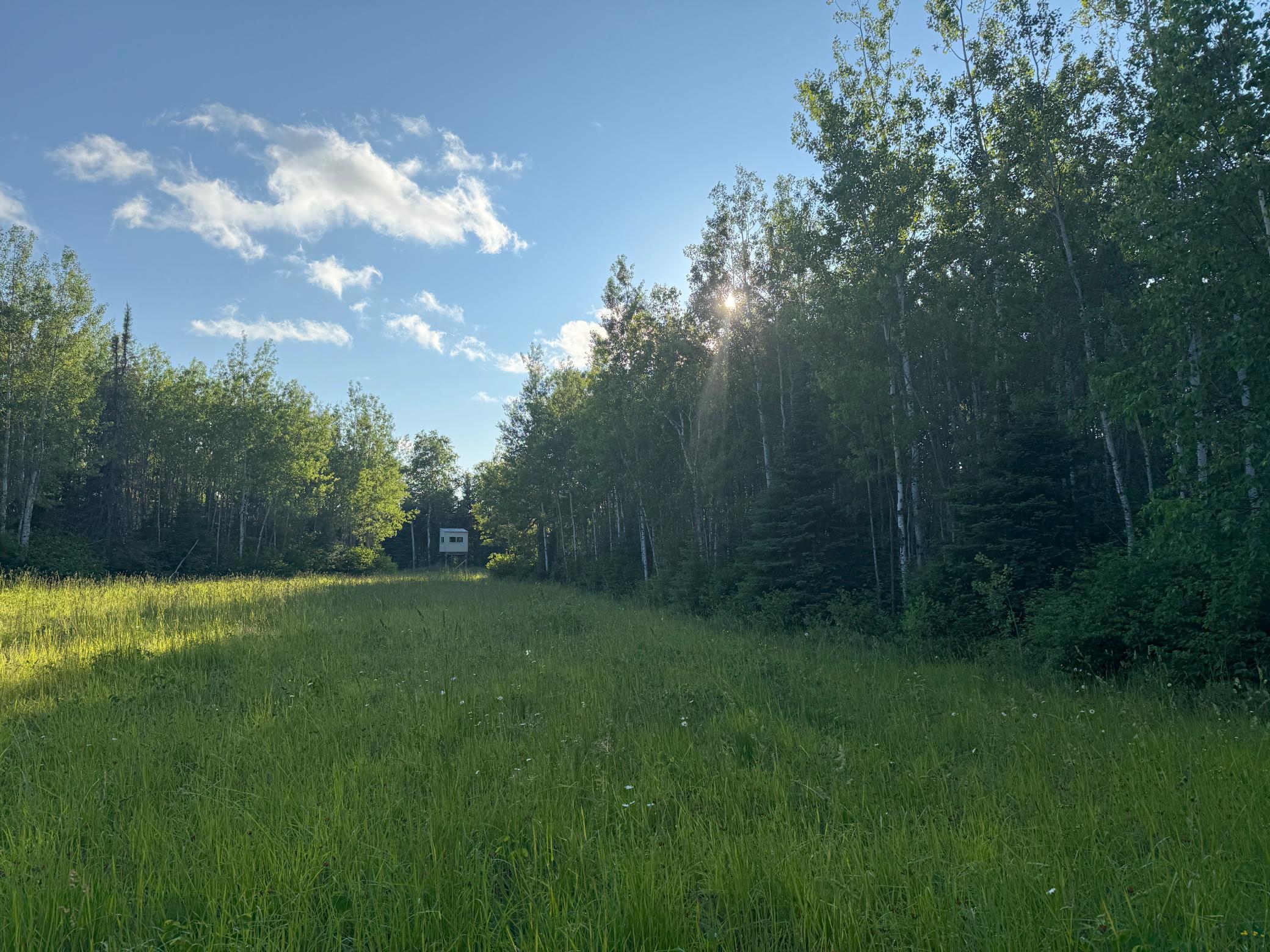 3602 Moose Ridge Road Isabella, MN 55607 - Photo 29 of 66