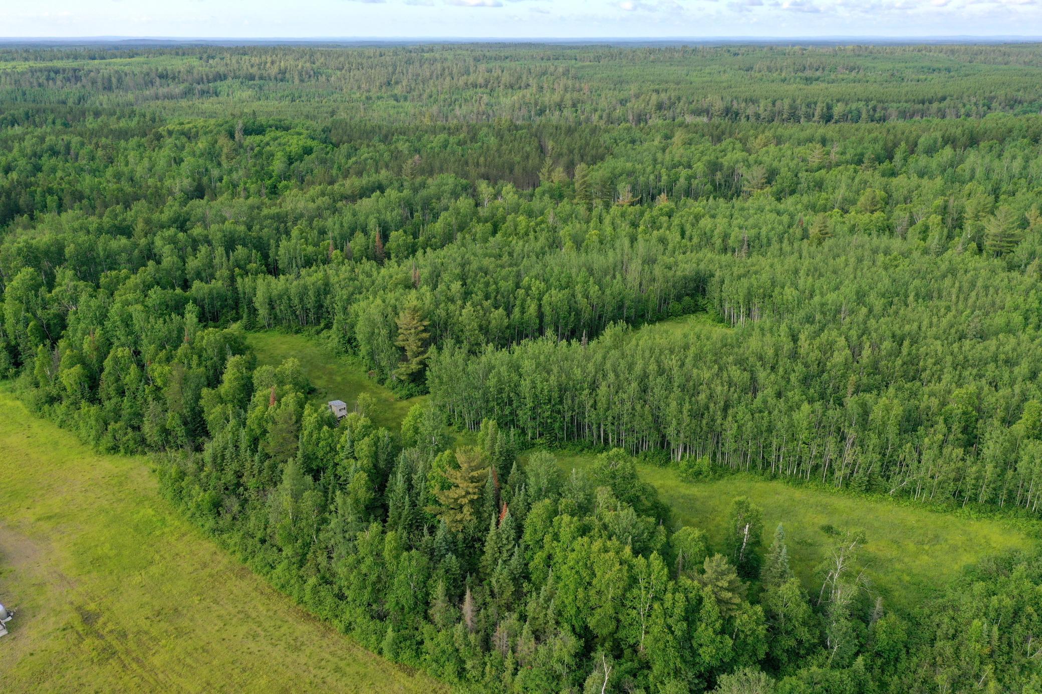 3602 Moose Ridge Road Isabella, MN 55607 - Photo 3 of 66