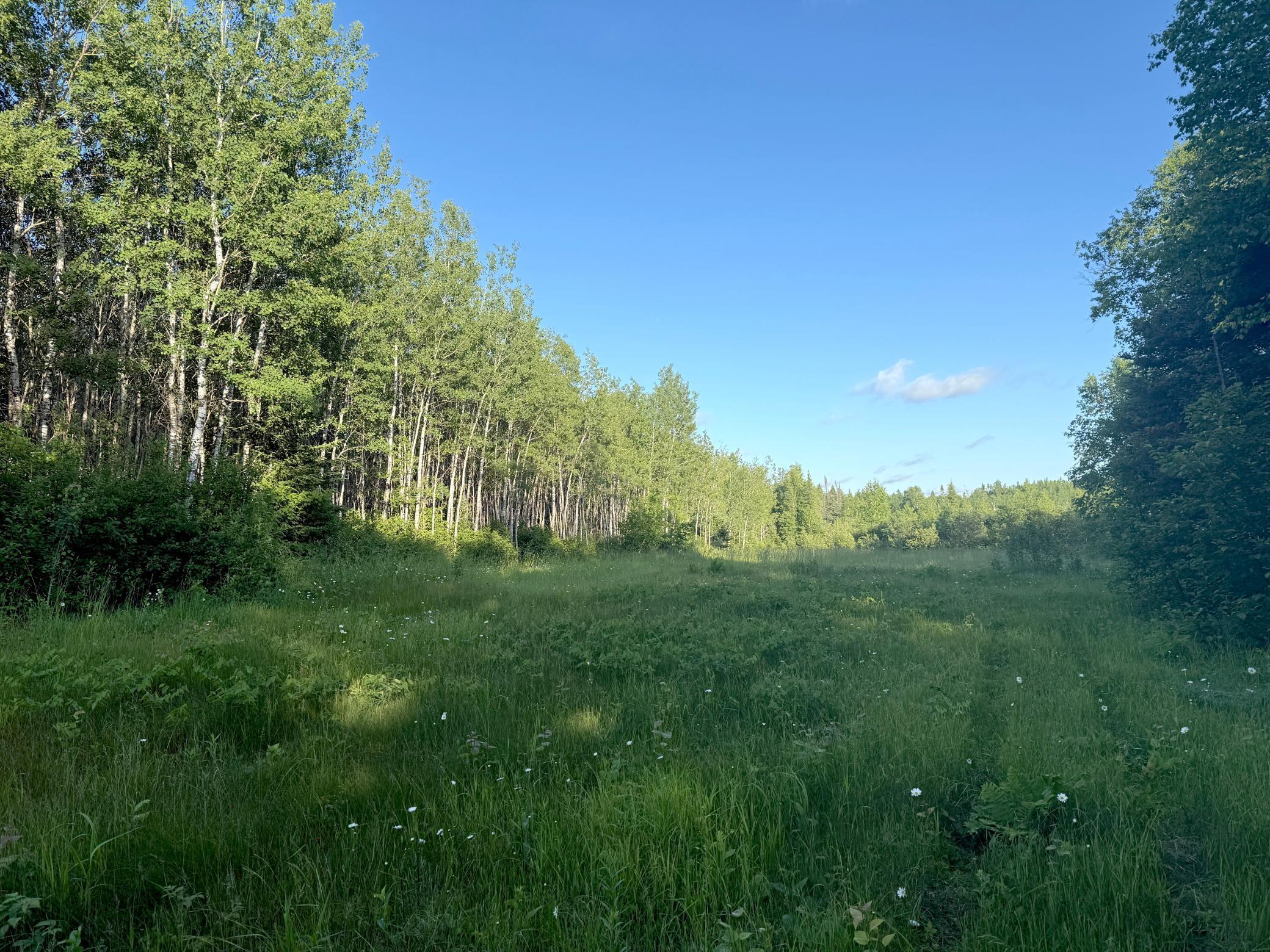 3602 Moose Ridge Road Isabella, MN 55607 - Photo 31 of 66