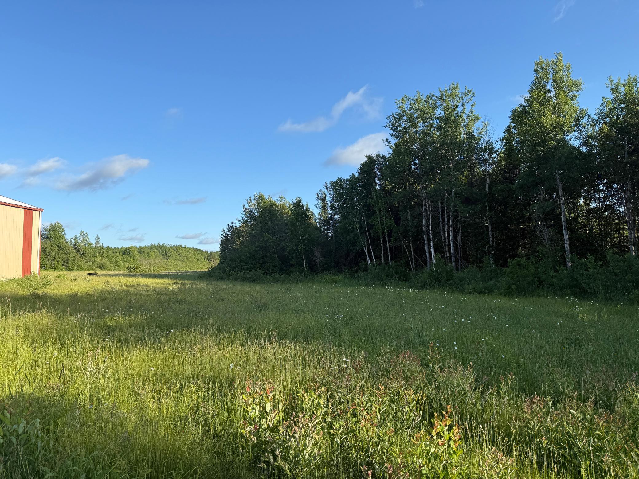3602 Moose Ridge Road Isabella, MN 55607 - Photo 33 of 66