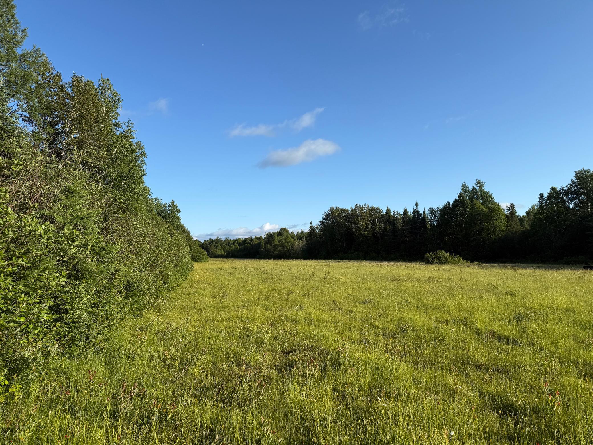 3602 Moose Ridge Road Isabella, MN 55607 - Photo 35 of 66