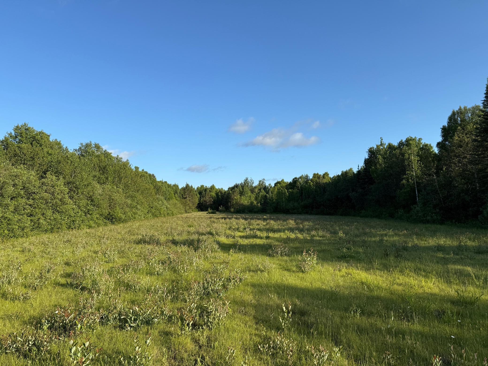 3602 Moose Ridge Road Isabella, MN 55607 - Photo 39 of 66