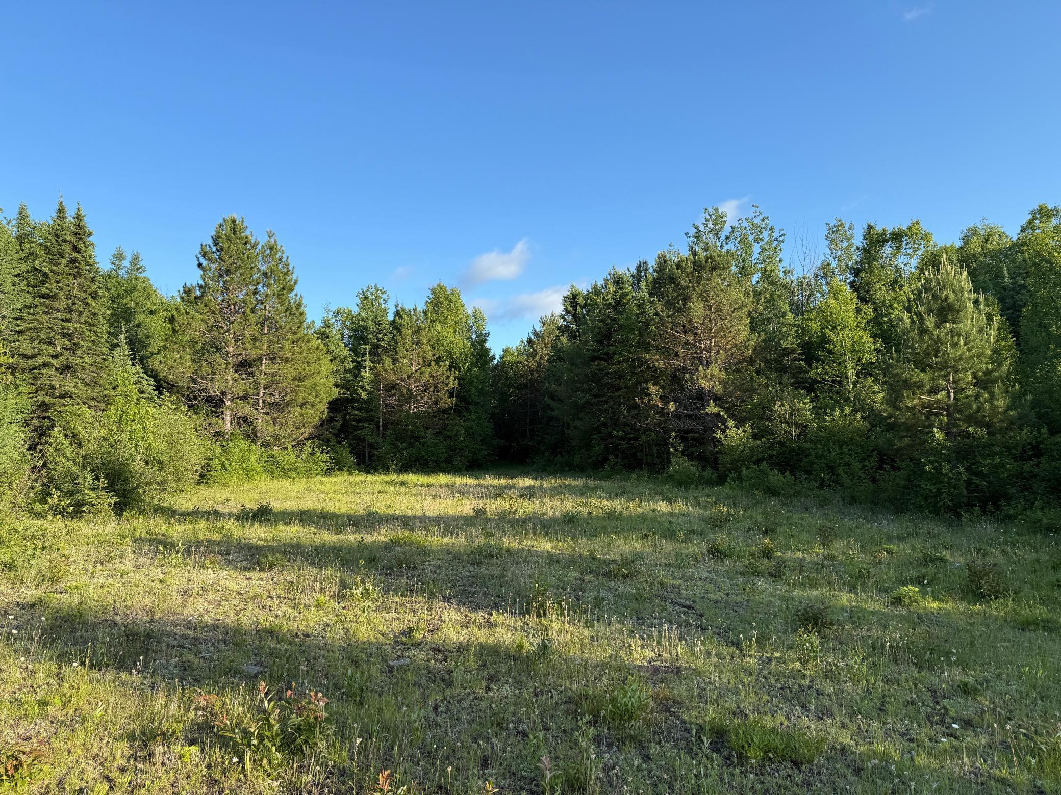 3602 Moose Ridge Road Isabella, MN 55607 - Photo 40 of 66